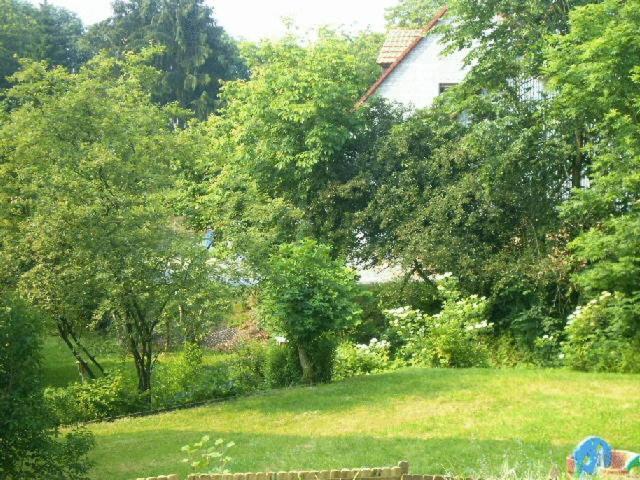 Waldpension Zum Felsenkeller Lichtenfels-Sachsenberg Eksteriør bilde